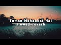 Tumse Mohabbat Hai JalRaj Slowed Reverb TR Lofi Song