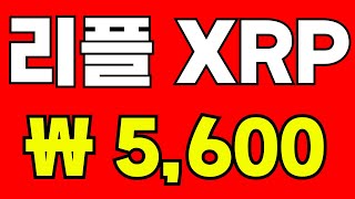 리플 이제 사도 될까? 금일 CPI 발표예정  #코인시황 #코인 #리플