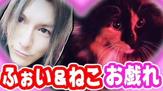 【初登場】最強の組み合わせ…ふぉいが愛猫と戯れるシーン【ふぉい切り抜き】