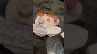 キティーちゃんを汚しました件