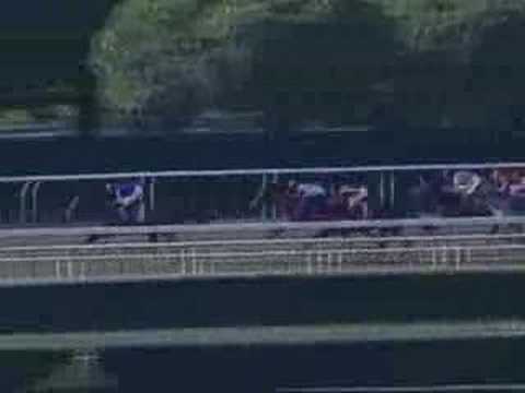 Jerome Stakes - Discreet Cat