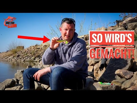 Veit packt aus: Die besten Köder fürs Angeln auf Zander