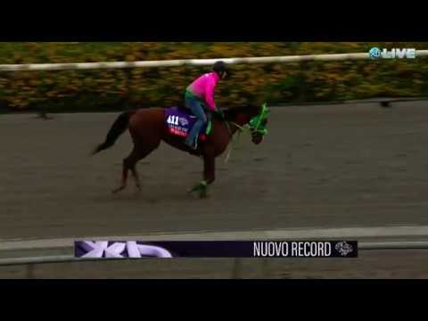 Japanese runner Nuovo Record at Santa Anita Nov. 2, 2016
