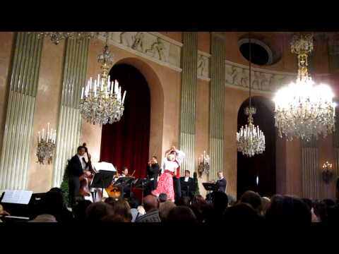 Vienna Residence Orchestra Ballet 2