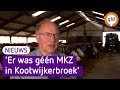 Opnieuw komt er een uitspraak over de MKZ-ruimingen