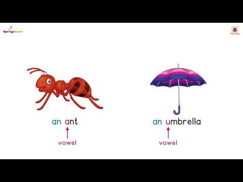 ‘a’ / ‘an’ / ‘the’ | Springboard SR KG Words & Sentences Part - 1 | Periwinkle