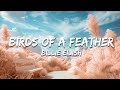 Billie Eilish - BIRDS OF A FEATHER (Lyrics)