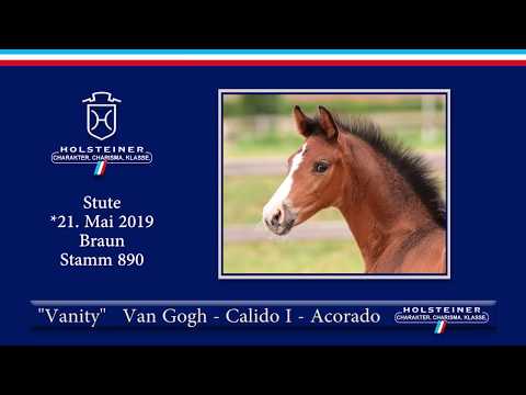 Holsteiner Elite-Fohlenauktion 2019 - Nr. 71 | Vanity v. Van Gogh-Calido I