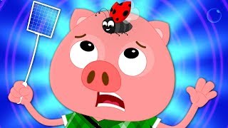 Shoo Fly Don&#39;t Bother Me | Nursery Rhyme | Kindergarten Song | Kids Rhyme For Baby