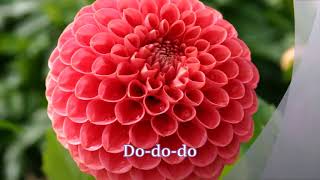 Power Flower   Stevie Wonder lyrics HD