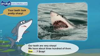 L2 001 Meet the Animals 1  Great White Shark