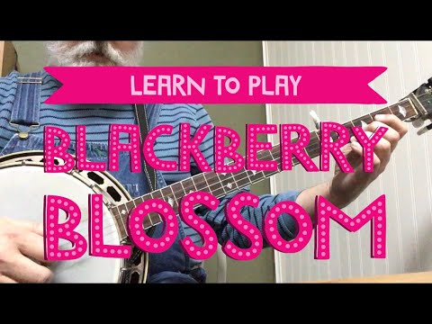 Learn to Play Blackberry Blossom - Bluegrass Banjo