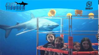 DIA 2 Expo Tiburon285