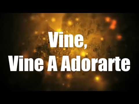 Vine - Vino Nuevo