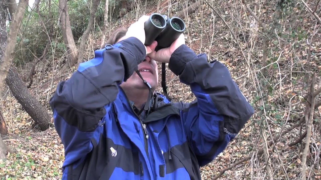 US Bird Count Shows Climate Change Affecting Migration Patterns