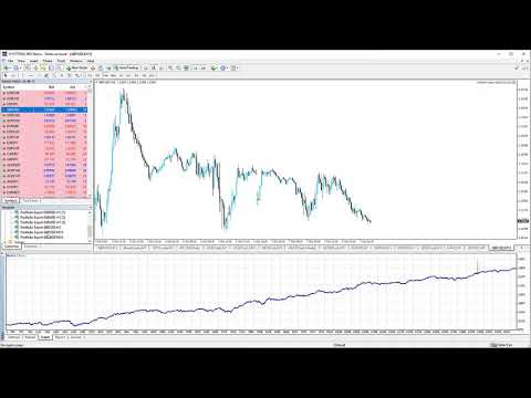 Video Portfolio Expert 33