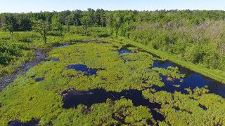 Cylon Wildlife Area: St. Croix County’s Largest Stretch of Wilderness