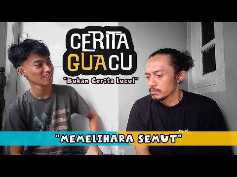 cerita-guacu-memelihara-semut-bukan-cerita-lucu-kerajaan-romawi