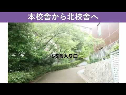 理工学部機能分子化学科 学科説明
