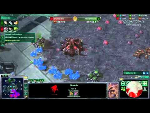 Pol~Nerchio vs Hun~Mate gra 2.flv