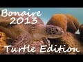 Diving - Bonaire 2013 - Turtle Edition - Karibik, Bonaire, Niederländische Antillen, Bonaire