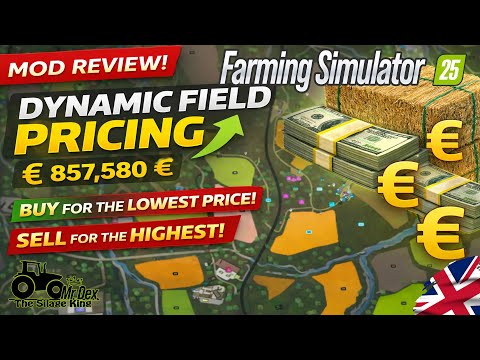 Dynamic Field Prices / Field Rename / Time Format - My First Look Mod Review