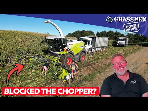 Finch Contracting Chopping Maize Silage In New Zealand! 4 Chopping Crews & A New JCB 457S!