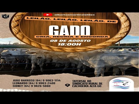 LEILÃO ALBERTO e MARTINS 08/08/2025 AS 18:00 hs em Cachoeira Alta Go.