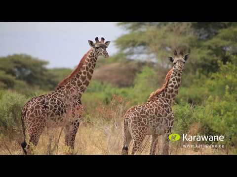 Karawane Reisen - Wir über uns in 30 Sekunden