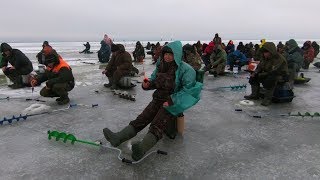 ПОЛОСАТЫЕ ЗАГИБАЮТ УДОЧКИ!!! Зимняя рыбалка 2018. Раздача КРУПНОГО Окуня в "БАЗАРЕ" .