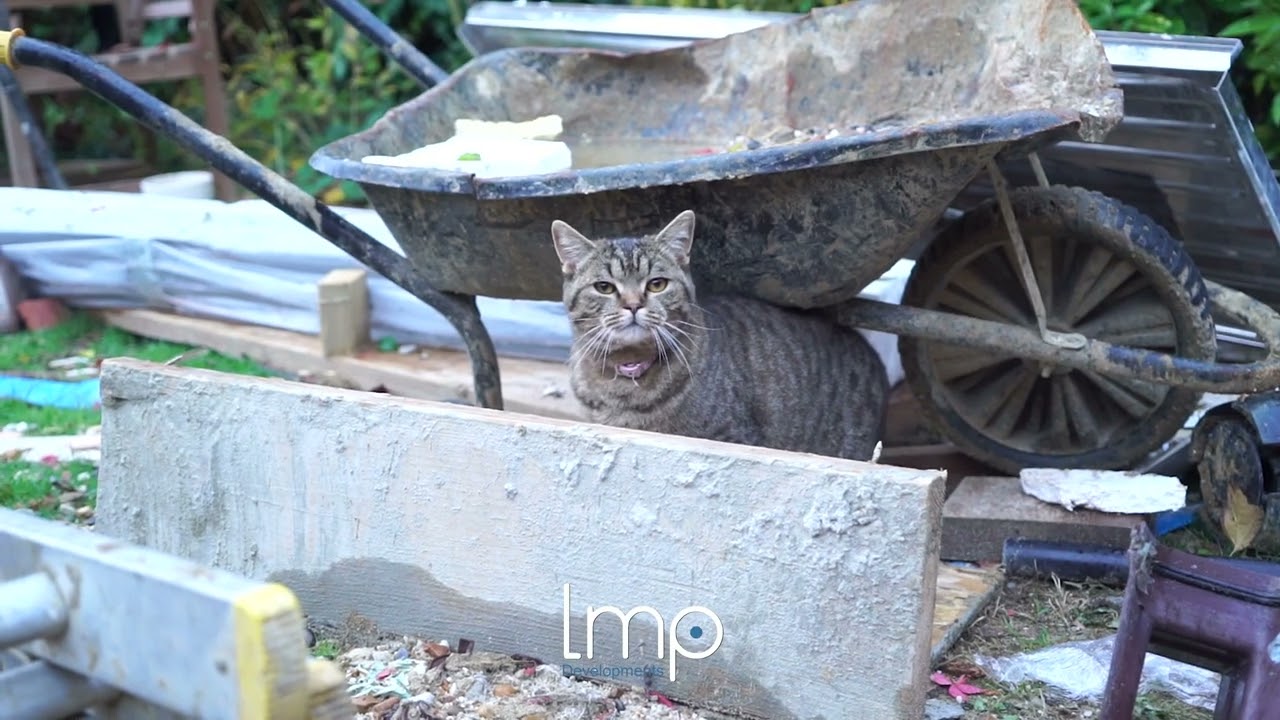 LMP DEVELOPMENTS BISHOPS STORTFORD WEEK 2 SITE UPDATE