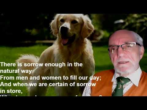 "The Power of the Dog" by Rudyard Kipling