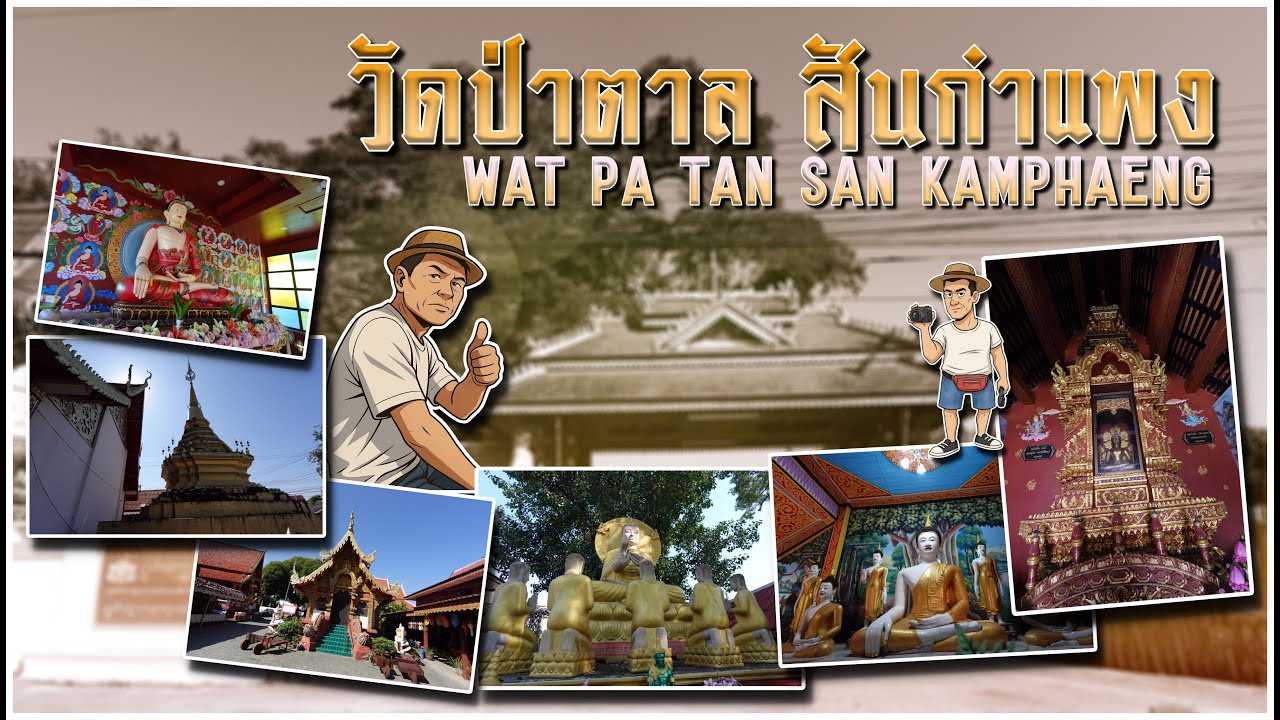 วัดป่าตาล
