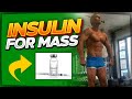 Insulin For Gains? Only if you are insane! Review by NYC best trainer!