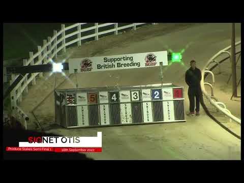 BGBF Signet Otis - The Seventy Sixth Two Year Old Produce Stakes 2022 Semi Final 1