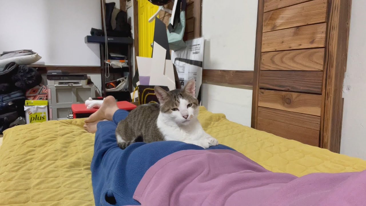 오랜만에 무를 만났다