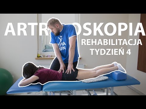 Andrew Evtukhov kulturystyka Rich Piana kulturystyki wideo