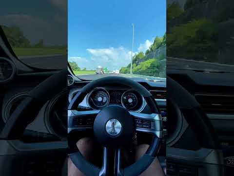Shelby GT500 Whipple VS Kenne Bell, which do you prefer
