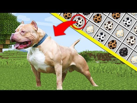 ElioDt - NEW PETS COLLECT DOG BREEDS - Minecraft Mods Videos