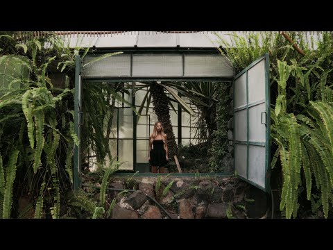 Evelina Ross - Tańce na Modlinie