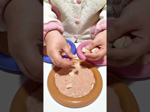 Secrets to Perfect Cat Meals: A Vet-Approved Guide