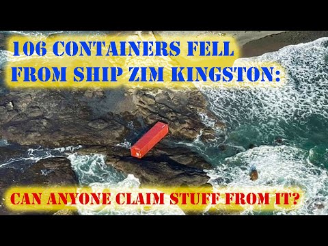 Ship Lost 106 Containers and then Caught Fire | Zim Kingston | Chief MAKOi Seaman Vlog