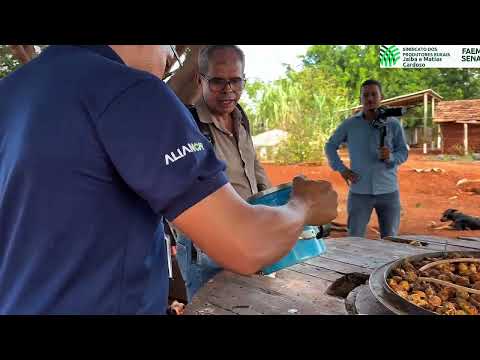 PROJETO SISTEMINHA, A tecnologia que está transformando vidas nos Lajeados na região de Jaíba MG