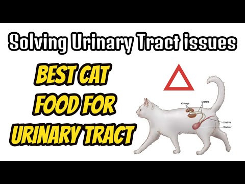 Best Cat Food For Urinary Tract Crystals | How to solve kidney and Urinary Tract Crystals issues