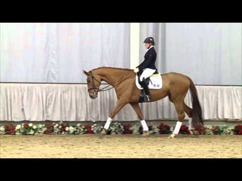 29 Daria  Stute v. Don Juan de Hus - Rosso di Sera