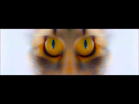 Video thumbnail for The Rider #2