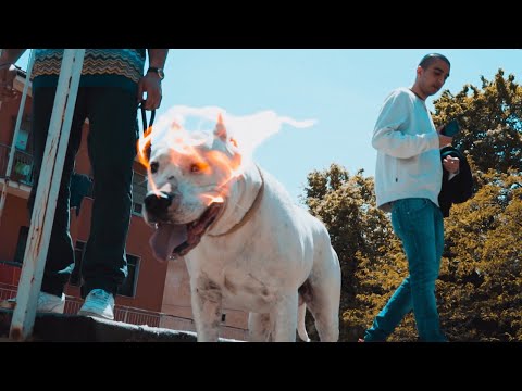 EYS Godson x Kaster Brax - OG