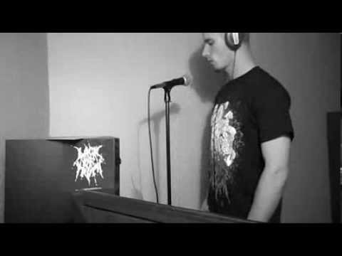 Laceration - Anal Fatal Gash Slash (New original brutal death metal song cover by Alex Zaremba)