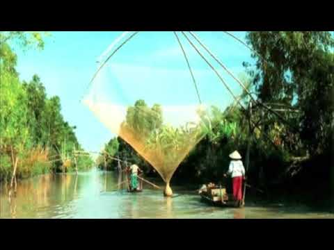 Thể hiện bởi Ngô Quốc Linh