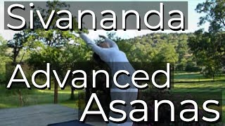 Sivananda Advanced Asana Cycles - Headstand, Shoulderstand, Forward bending, bac